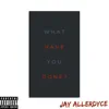 What Have You Done? - Single album lyrics, reviews, download