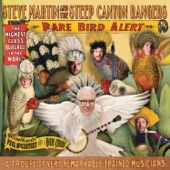 Steve Martin - Yellow-Backed Fly