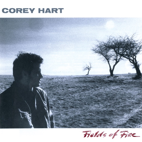 Cover artwork for Political Cry
