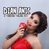 Dian Anic 12 Tembang Tarling Dangdut 2017