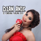 Dian Anic 12 Tembang Tarling Dangdut 2017 artwork