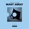 Mant Array artwork