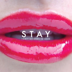 Stay - Single