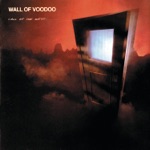 Wall of Voodoo - Spy World