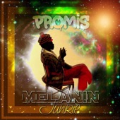 Promis - Bonus: Hallelujah