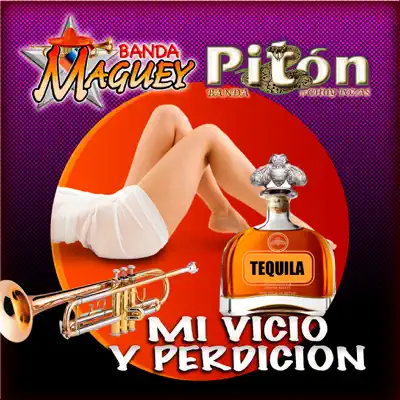 Mi Vicio y Perdicion - Banda Maguey