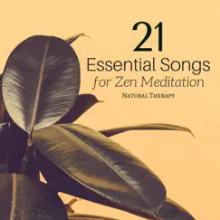 21 Essential New Age Songs: Relaxing Music with Nature Sounds for Meditation, Yoga, Sleep, Inner Peace and Harmony by Yoga Music for Yoga Class album reviews, ratings, credits