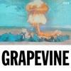 Grapevine (The Remixes) - Single