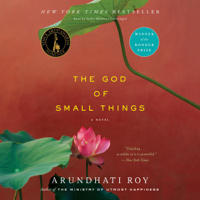 Arundhati Roy - The God of Small Things artwork