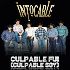 Culpable Fui (Culpable Soy) [En Vivo] - Single - Intocable
