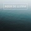 Agua de Lluvia - Música Relajante con Lluvia de Fondo para Descansar y Sonidos de la Naturaleza para Acostarse