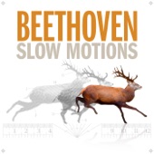 Beethoven Slow Motions artwork