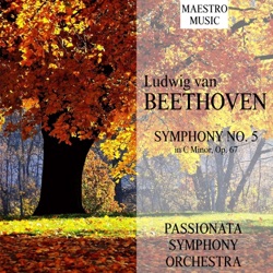 Passionata Symphony Orchestra & East End Symphonic Choir - Symphony No. 5 In C Minor, Op. 67: I. Allegro con brio