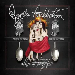 Alive at Twenty-Five - Ritual de lo Habitual Live - Jane's Addiction