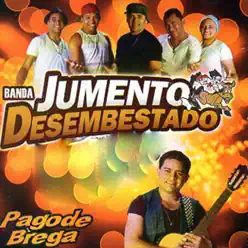 Pagode Brega - Banda Jumento Desembestado