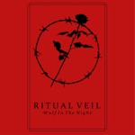 Ritual Veil - Gray Filter