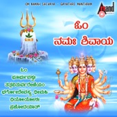 Om Namah Shiva & Gayathri Mantra Smarane artwork