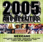 2005 Año de Éxitos Mexicano