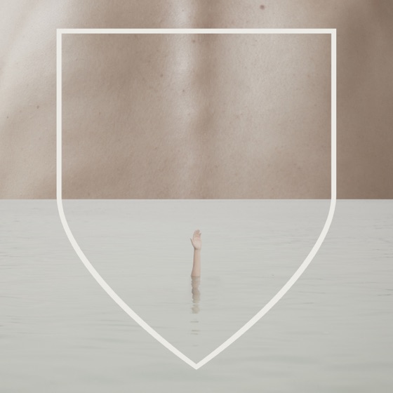 Cover artwork for Wildlife