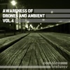 Awareness of Drones and Ambient, Vol. 4