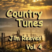 Country Tunes, Vol. 4 artwork