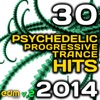 Psychedelic Progressive Trance Hits 2014 - Best of Top 30 EDM Hits