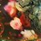 The Tender Kind - Scott Campbell lyrics