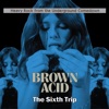 Brown Acid - The Sixth Trip