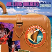 Joe Louis Walker - Slow Down "GTO"