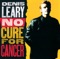 Rehab - Denis Leary lyrics