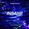 Insane - Karisa Nicole lyrics