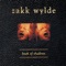 Evil Ways - Zakk Wylde lyrics