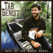 Best of the Bayou Blues artwork