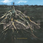 Evergreen - EP artwork