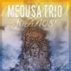 Medusa Trio, 10 Anos!