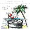 Steel Drum & Caribbean Instruments album lyrics, reviews, download