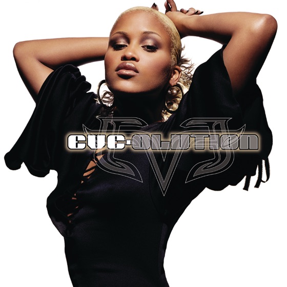 Cover artwork for Party in the Rain (feat. Mashonda)
