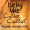 Please, Please Stay (feat. Colbie Caillat) - Lucky Uke lyrics