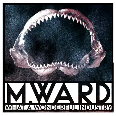 What a Wonderful Industry - M. Ward