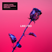 Like I Do-David Guetta, Martin Garrix & Brooks