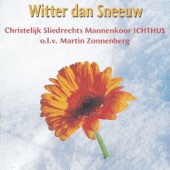 Witter dan sneeuw (feat. Martin Mans & Johan Bredewout) artwork