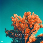 Shelter artwork