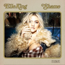 Shame artwork
