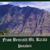 From Beneath Mt. Ka'ala artwork