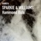 Hammond Ride (Raw Artistic Soul Dub) - Sparkie & Williams lyrics