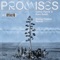 Promises (Sonny Fodera Extended Remix) artwork