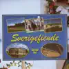 Sverigefiende (Fest mot våldsgrupp) - Single album lyrics, reviews, download