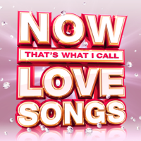 Various Artists - NOW That's What I Call Love Songs artwork