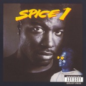Spice 1 artwork