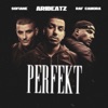 Perfekt - Single